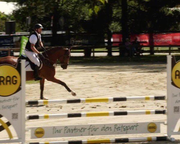 Reitturnier Walldorf/Winterheck 2024