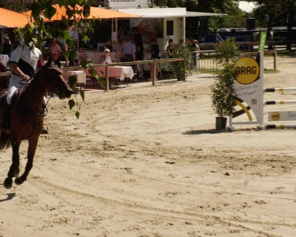 Reitturnier Walldorf/Winterheck 2024