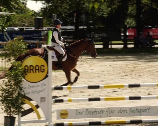 Reitturnier Walldorf/Winterheck 2024