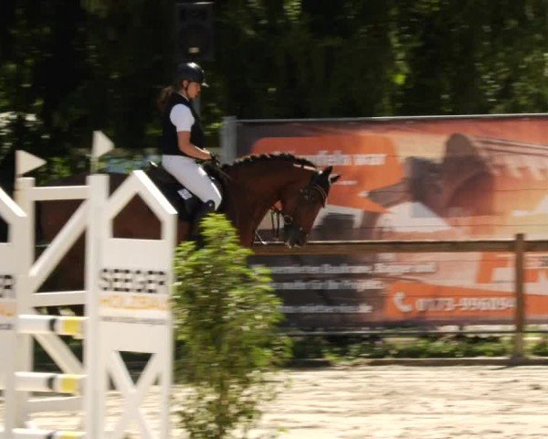 Reitturnier Walldorf/Winterheck 2024