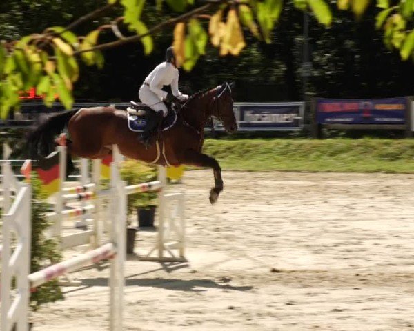 Reitturnier Walldorf/Winterheck 2024
