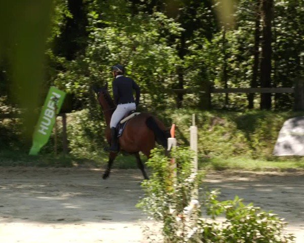Reitturnier Walldorf/Winterheck 2024