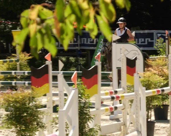 Reitturnier Walldorf/Winterheck 2024