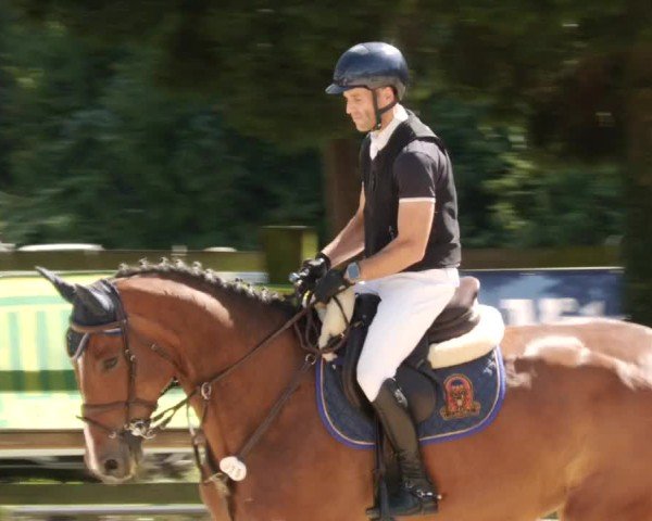 Reitturnier Walldorf/Winterheck 2024
