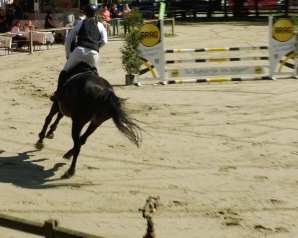 Reitturnier Walldorf/Winterheck 2024
