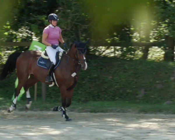 Reitturnier Walldorf/Winterheck 2024