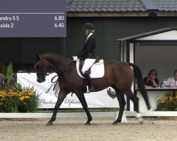 Reitturnier Solingen 2024