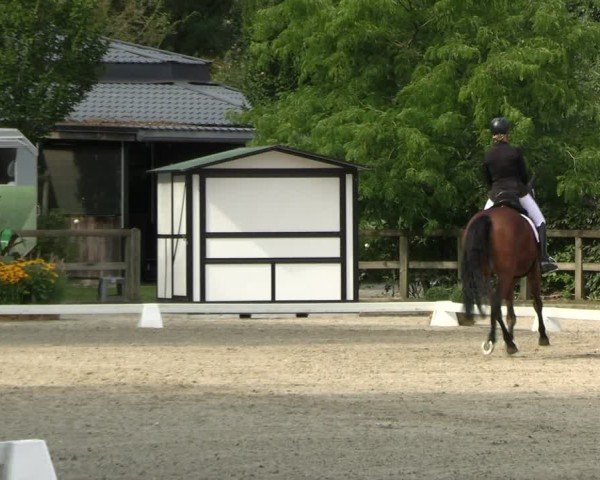 Reitturnier Solingen 2024