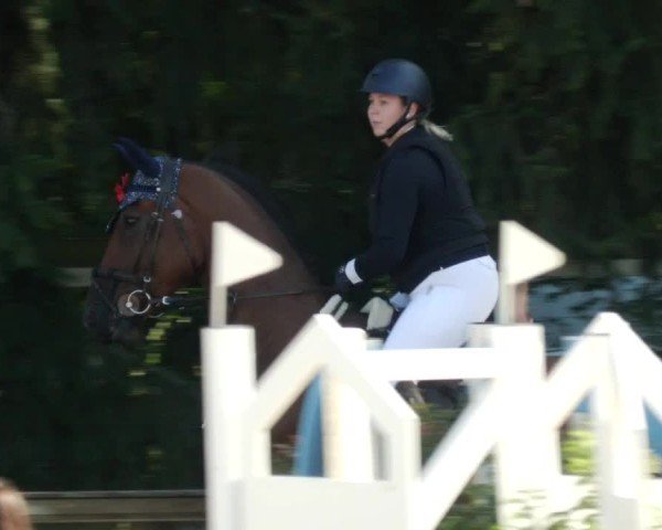 Reitturnier Walldorf/Winterheck 2024