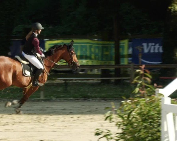 Reitturnier Walldorf/Winterheck 2024