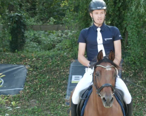 Reitturnier Walldorf/Winterheck 2024