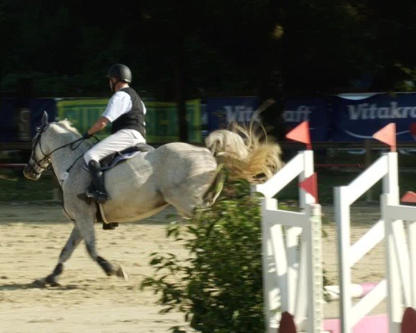 Reitturnier Walldorf/Winterheck 2024