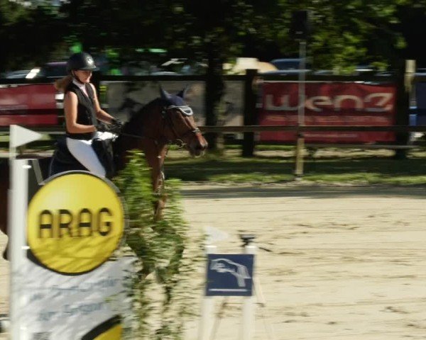 Reitturnier Walldorf/Winterheck 2024