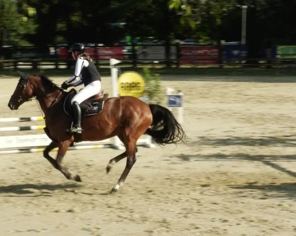 Reitturnier Walldorf/Winterheck 2024