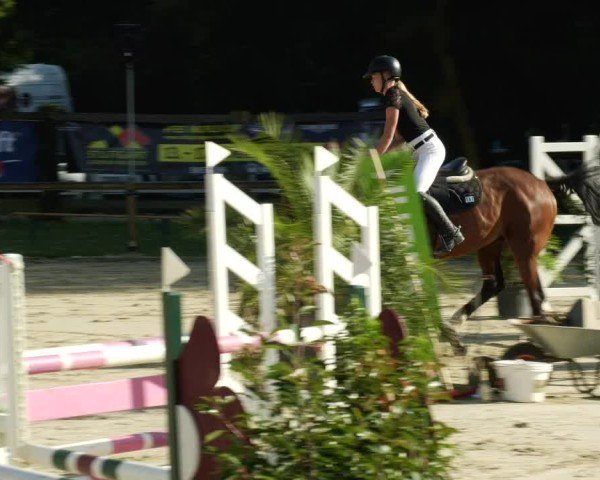 Reitturnier Walldorf/Winterheck 2024