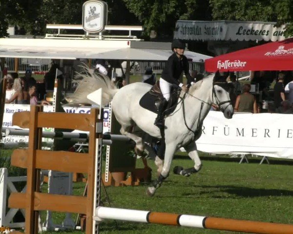 Reitturnier Aschersleben 2024
