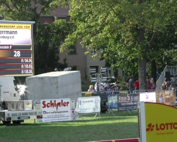 Reitturnier Aschersleben 2024