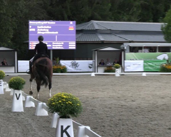Reitturnier Solingen 2024