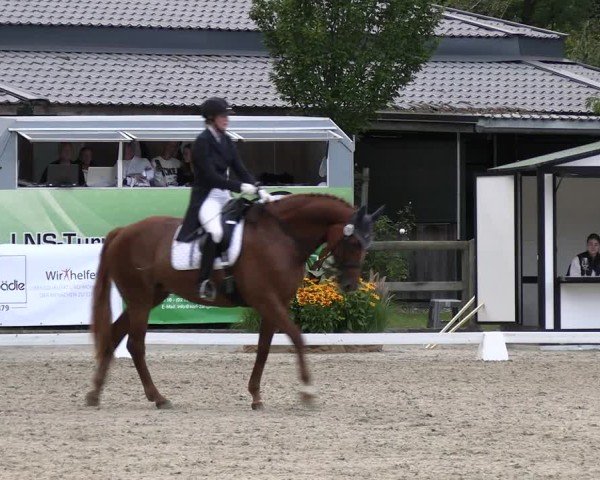 Reitturnier Solingen 2024