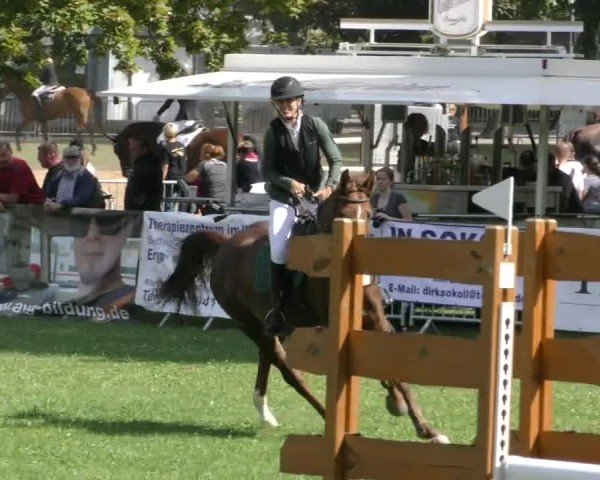 Reitturnier Aschersleben 2024