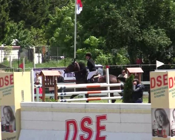 Reitturnier Düren 2013