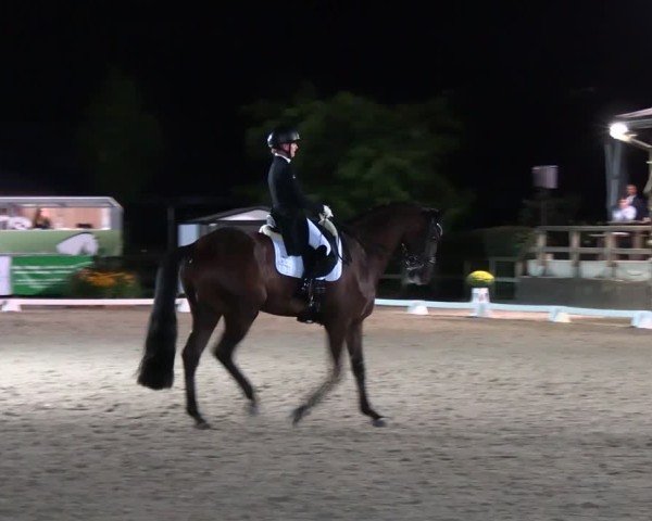 Reitturnier Solingen 2024