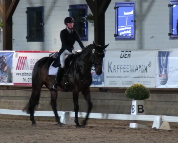 Reitturnier Solingen 2024