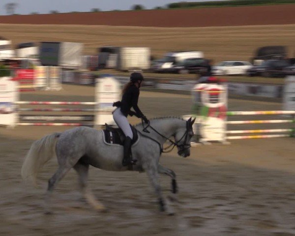 Reitturnier Duderstadt 2024