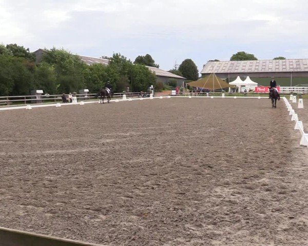 Reitturnier Kleinsolter Turniertage 2024