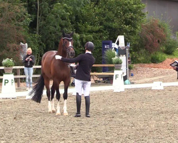 Reitturnier Kleinsolter Turniertage 2024