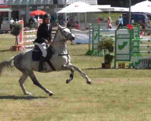 Reitturnier Rendsburg 2013