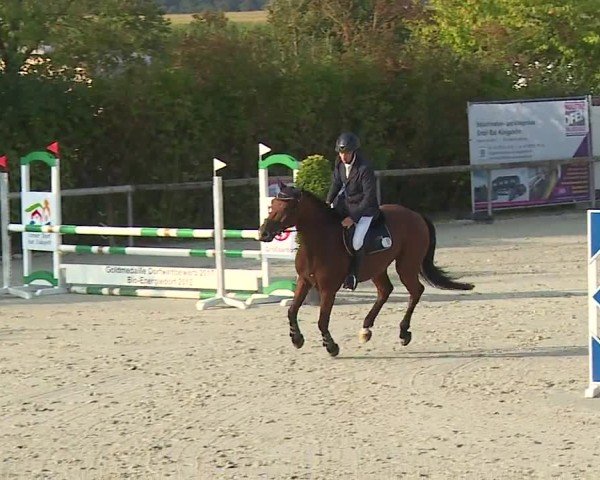 Reitturnier Großbardorf/Ufr. 2024