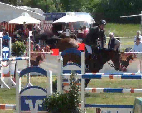Nord-Ost-Pferd 2013