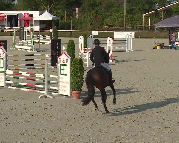 Reitturnier Großbardorf/Ufr. 2024