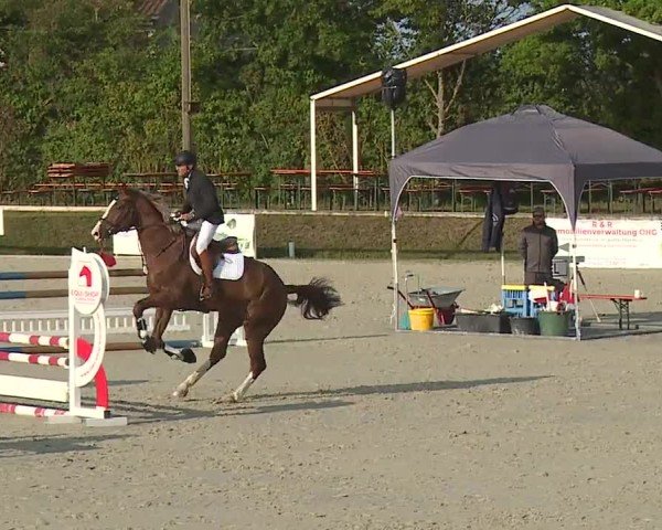 Reitturnier Großbardorf/Ufr. 2024