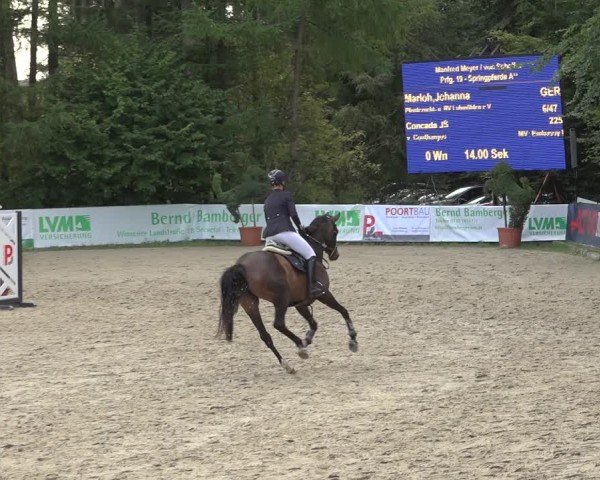 Reitturnier Sieversen - Rosengarten 2024