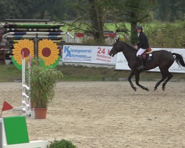 Reitturnier Sieversen - Rosengarten 2024