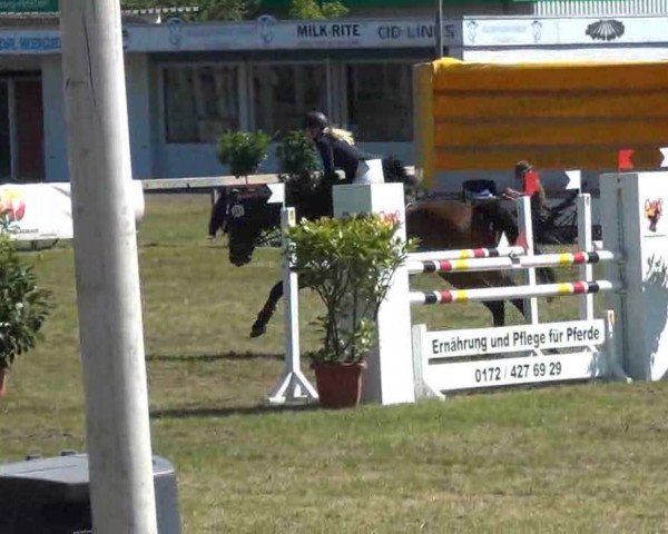 Nord-Ost-Pferd 2013