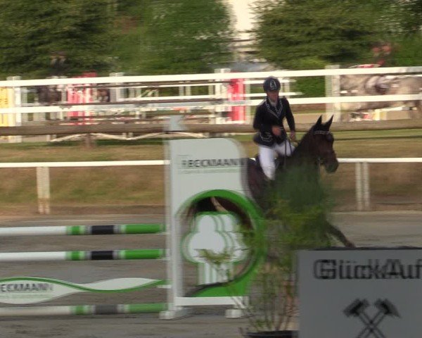 Reitturnier Werne 2024