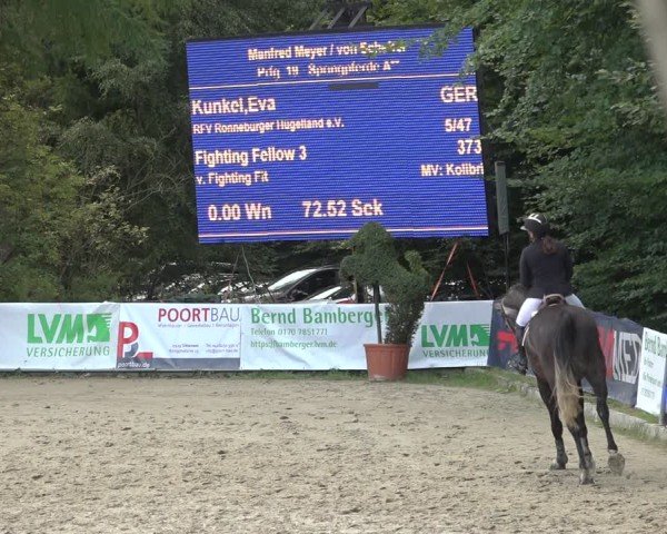 Reitturnier Sieversen - Rosengarten 2024