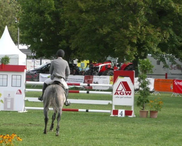 Reitturnier Aschersleben 2024