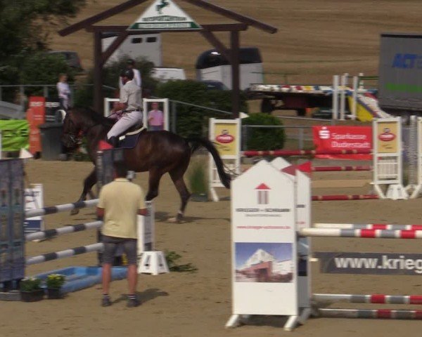 Reitturnier Duderstadt 2024