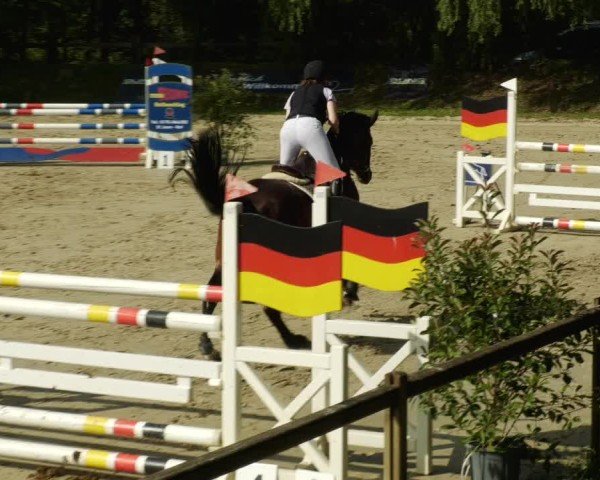 Reitturnier Walldorf/Winterheck 2024