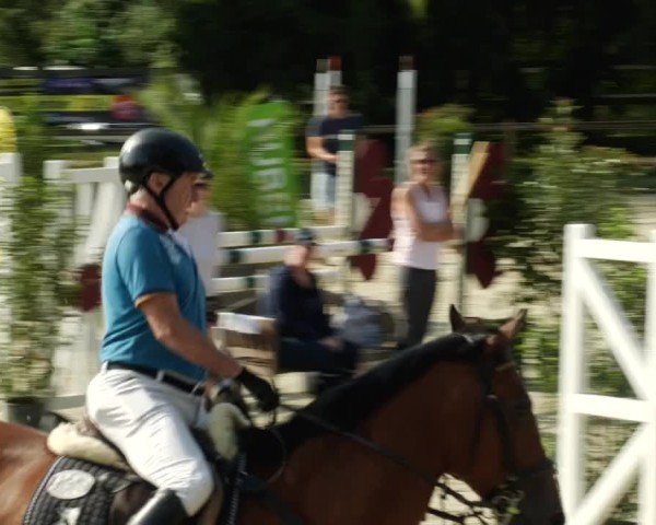 Reitturnier Walldorf/Winterheck 2024