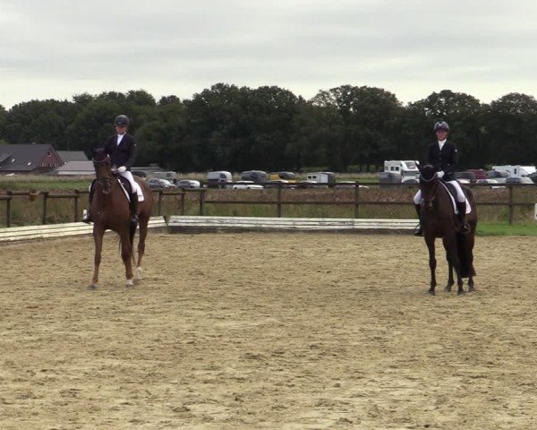 Reitturnier Ostbevern 2024