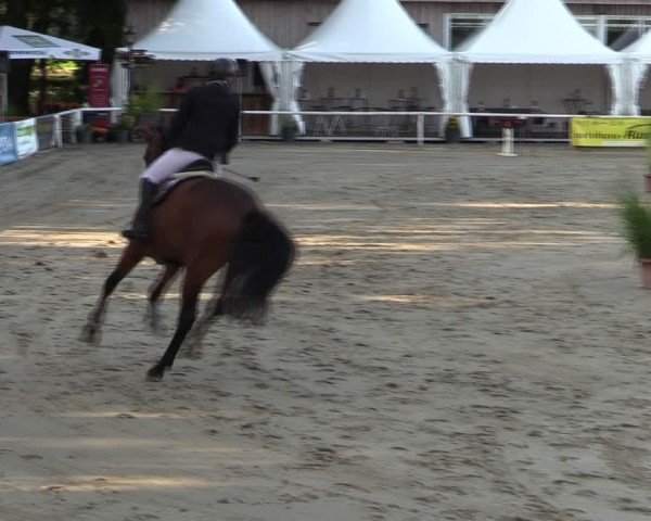 Reitturnier Werne 2024