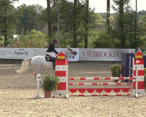 Reitturnier Sieversen - Rosengarten 2024
