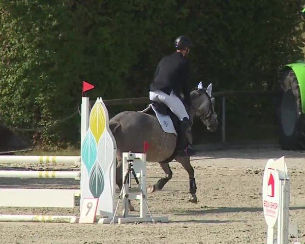 Reitturnier Großbardorf/Ufr. 2024
