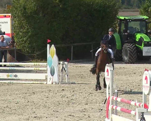 Reitturnier Großbardorf/Ufr. 2024