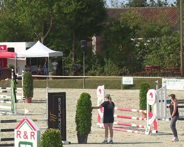 Reitturnier Großbardorf/Ufr. 2024